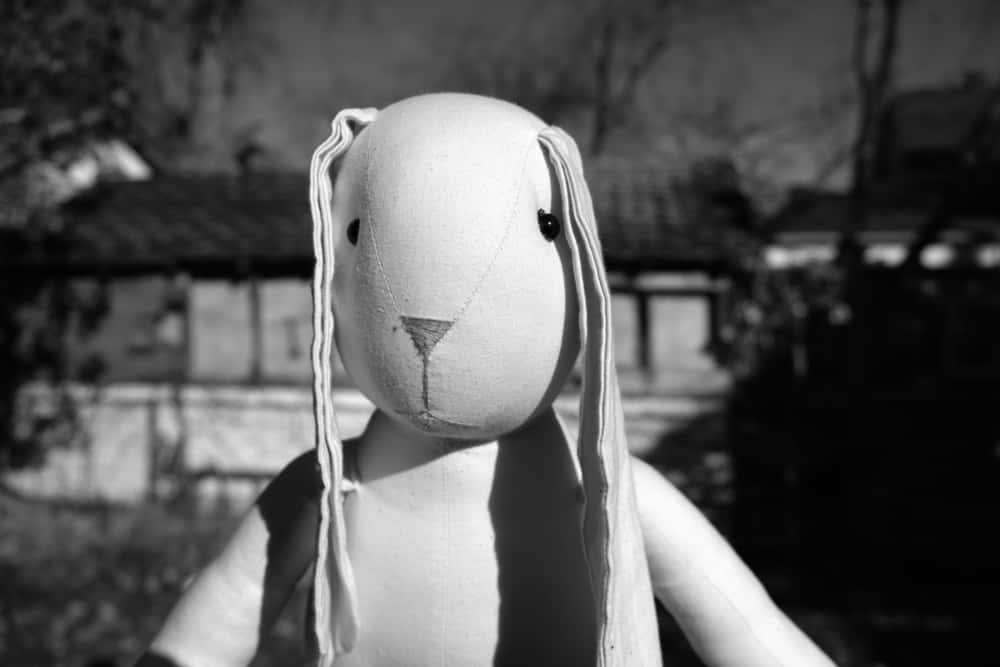 Childhood Imaginary Friends facts