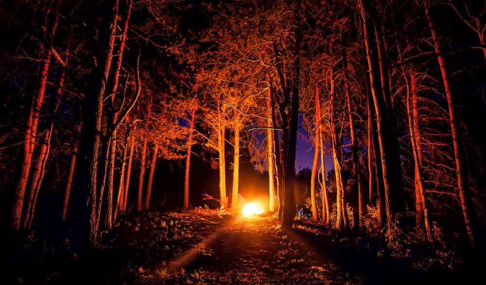 Into The Unknown: These Remote Job Experiences Were Absolutely Terrifying