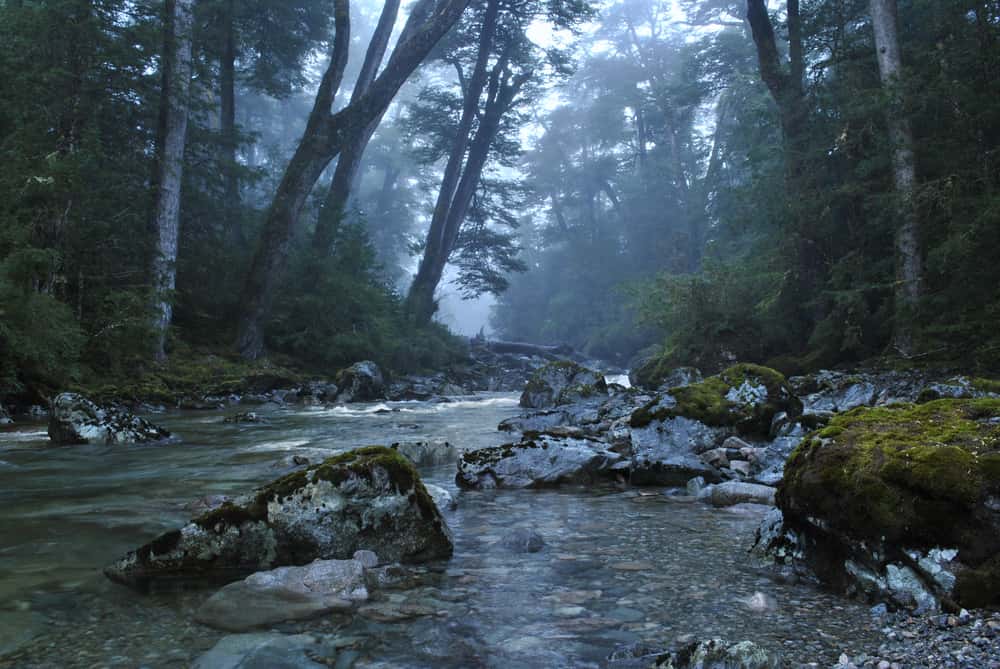 Into The Unknown: These Remote Job Experiences Were Absolutely Terrifying