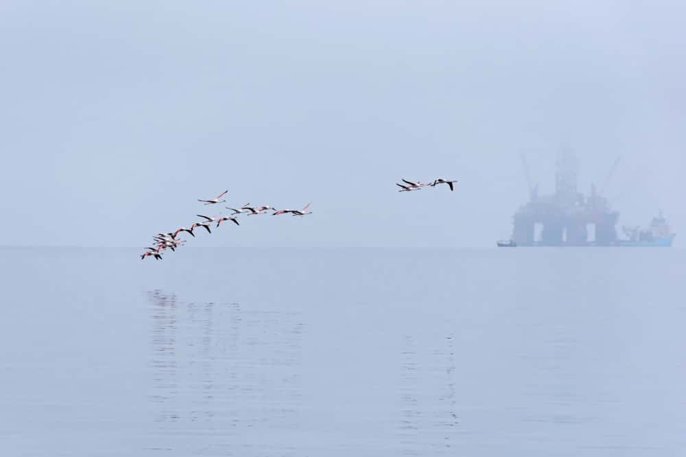 Into The Unknown: These Remote Job Experiences Were Absolutely Terrifying