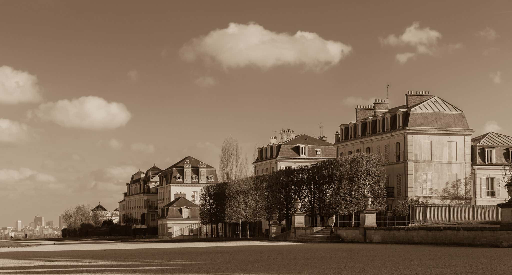 Thomas-Alexandre Dumas facts