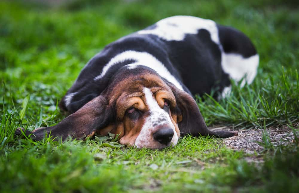 Into The Unknown: These Remote Job Experiences Were Absolutely Terrifying