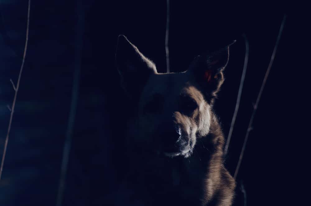 Into The Unknown: These Remote Job Experiences Were Absolutely Terrifying