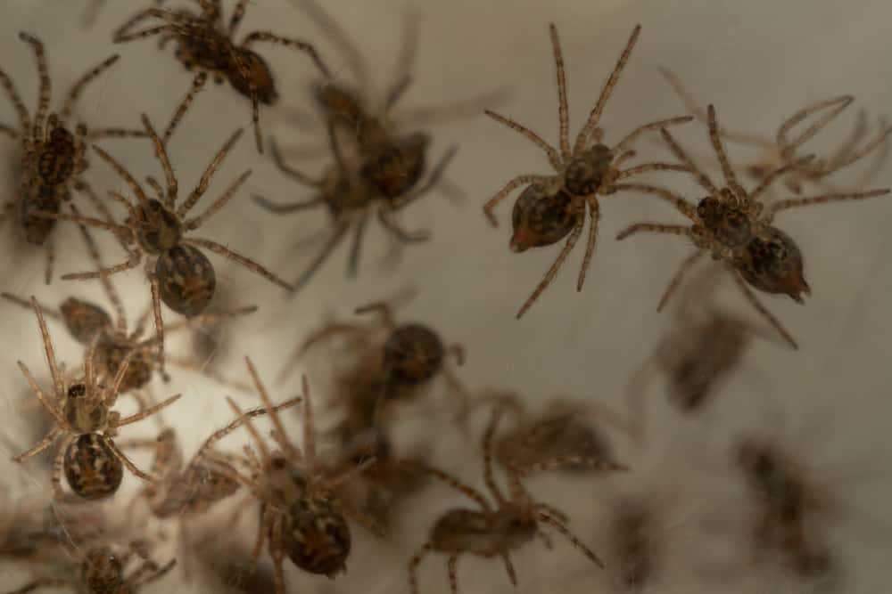 Into The Unknown: These Remote Job Experiences Were Absolutely Terrifying