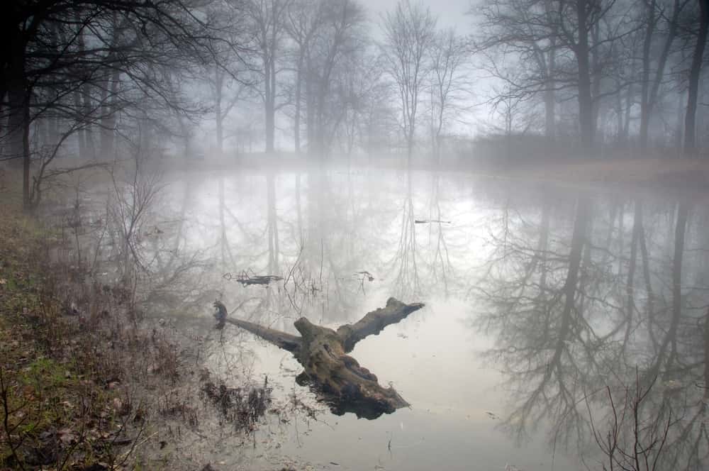 Into The Unknown: These Remote Job Experiences Were Absolutely Terrifying