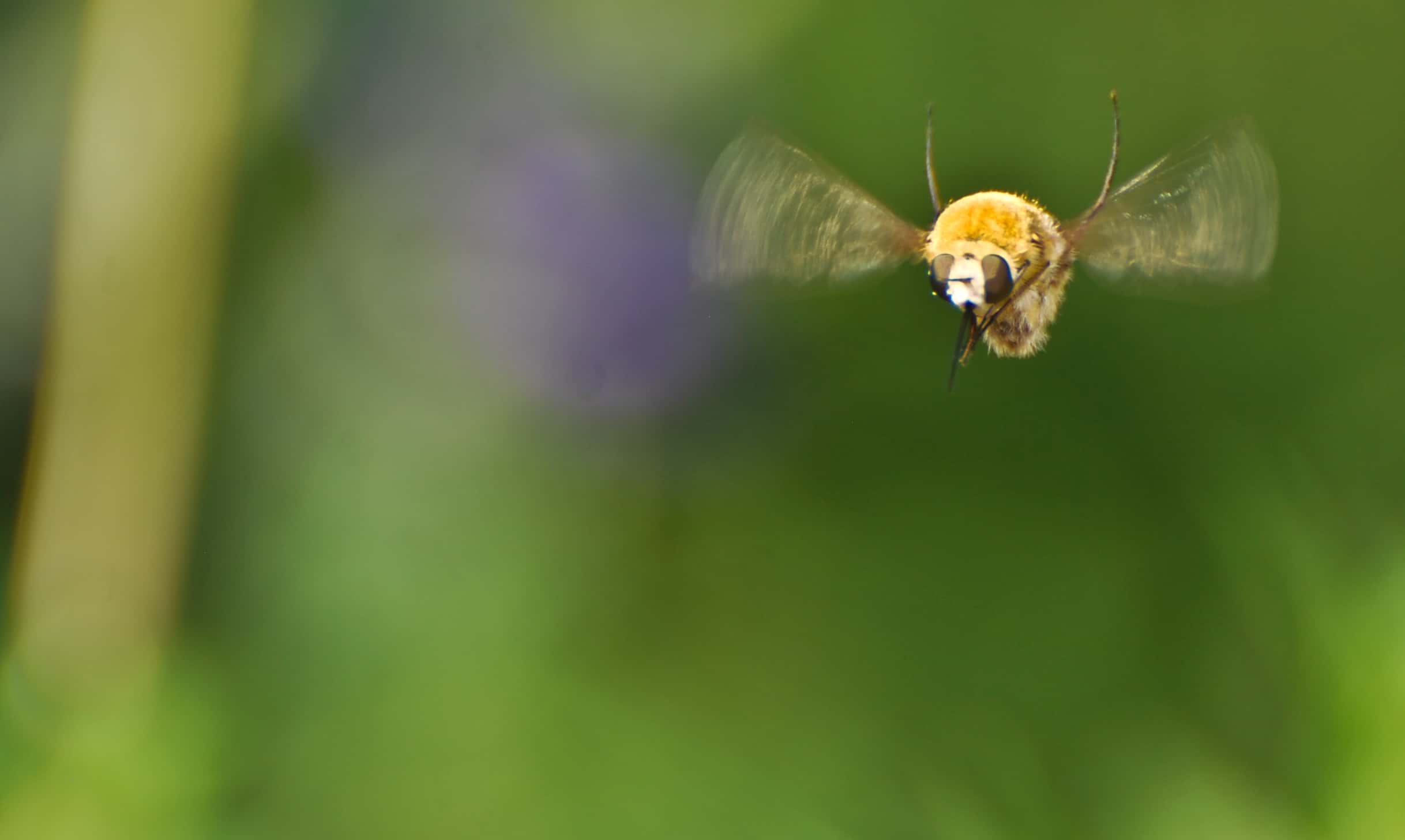 Scariest Noise Facts