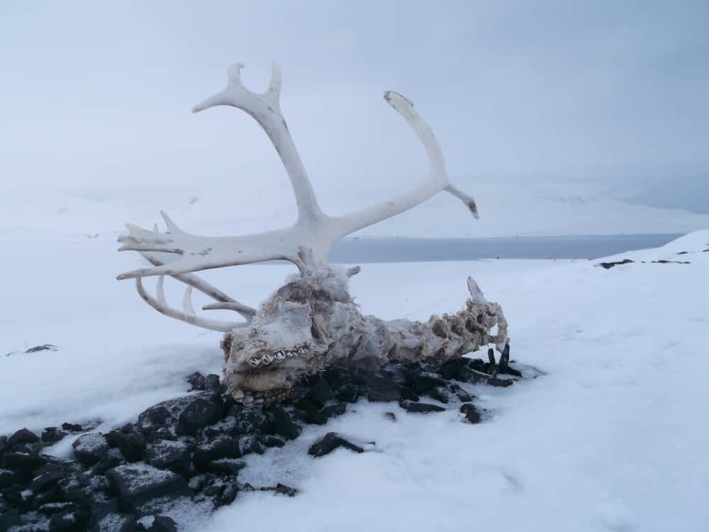 Into The Unknown: These Remote Job Experiences Were Absolutely Terrifying