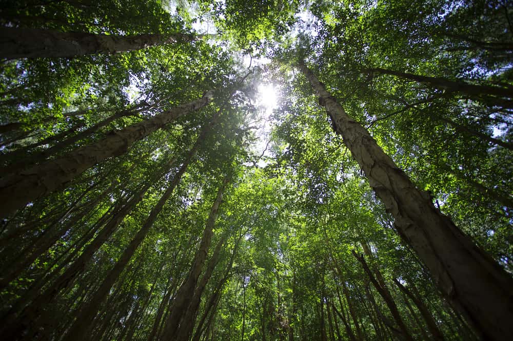 Into The Unknown: These Remote Job Experiences Were Absolutely Terrifying