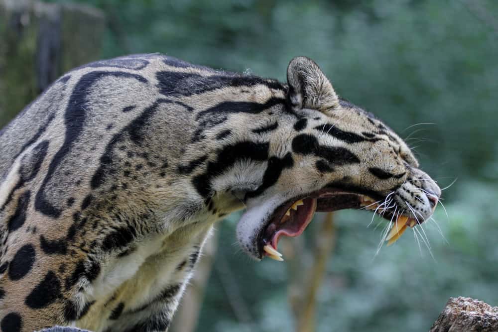 Into The Unknown: These Remote Job Experiences Were Absolutely Terrifying