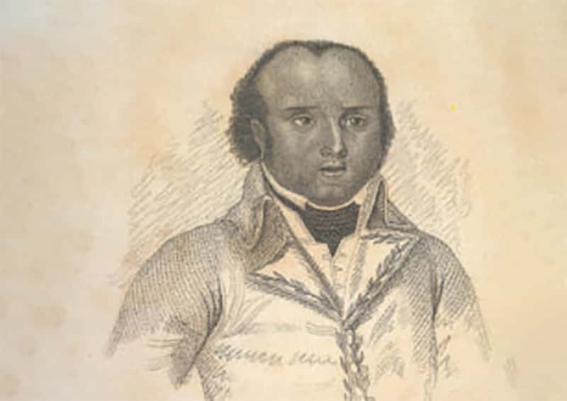 Thomas-Alexandre Dumas facts