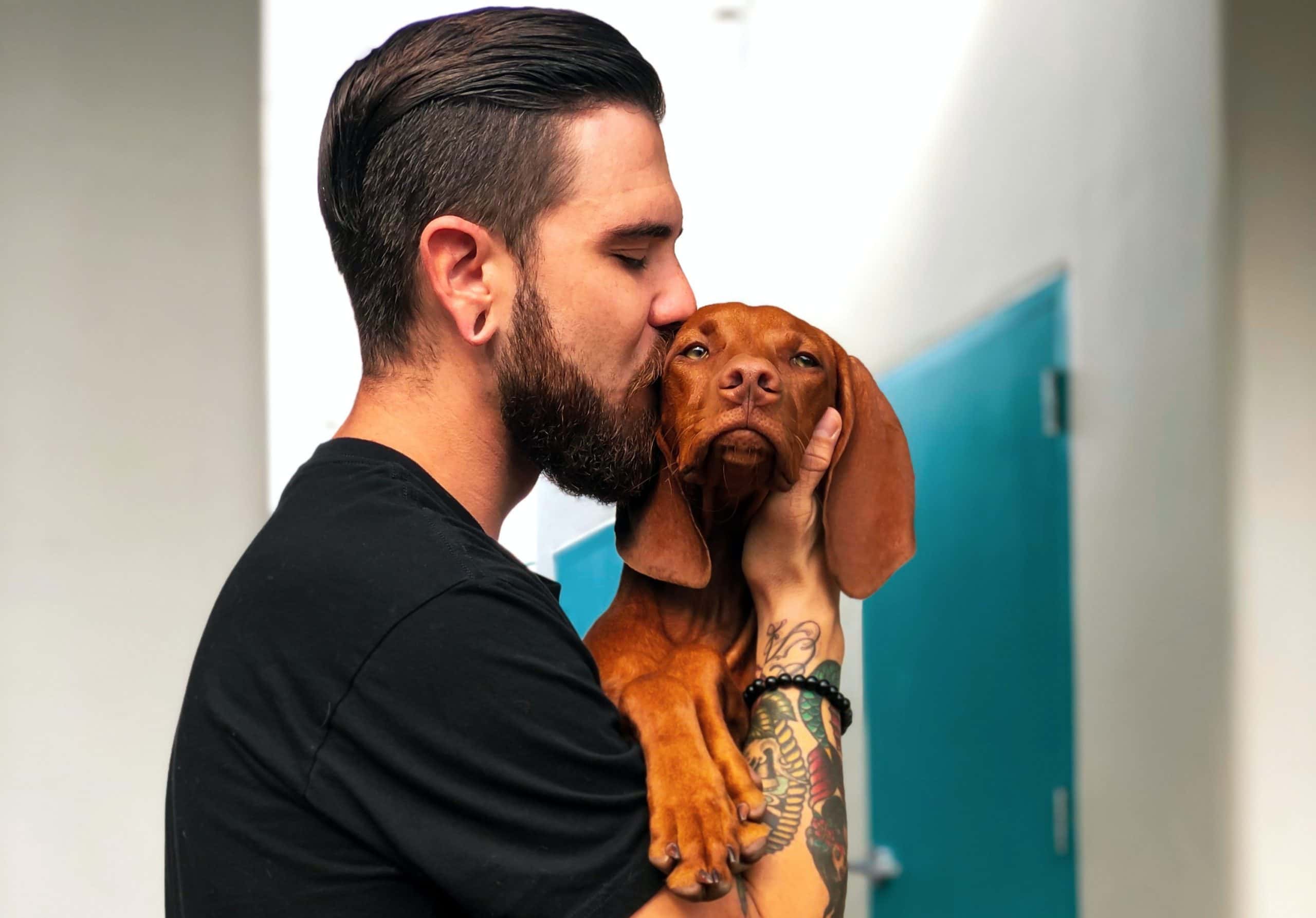 From Crush To Disgust Facts