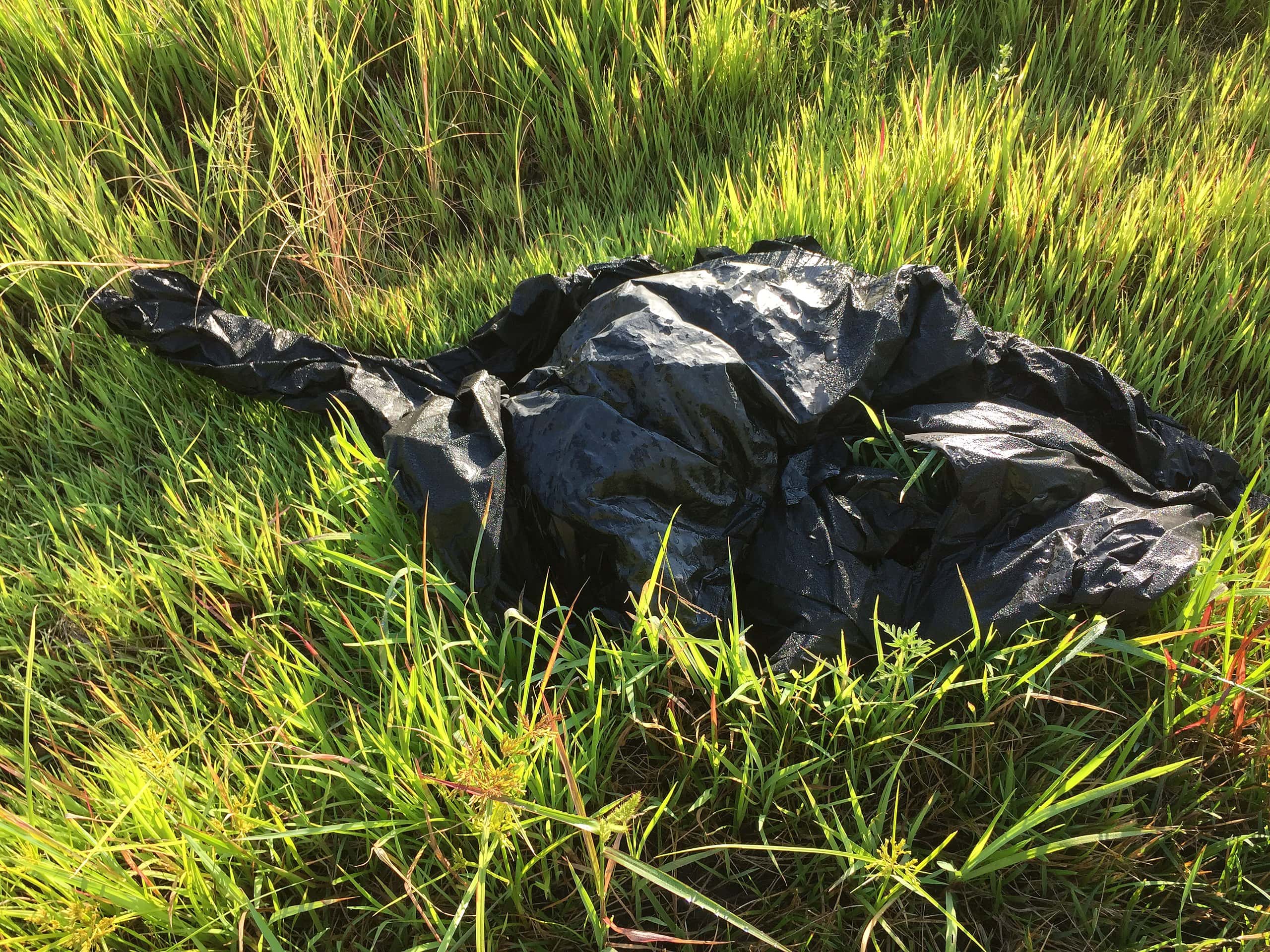 Creepiest Experiences Facts