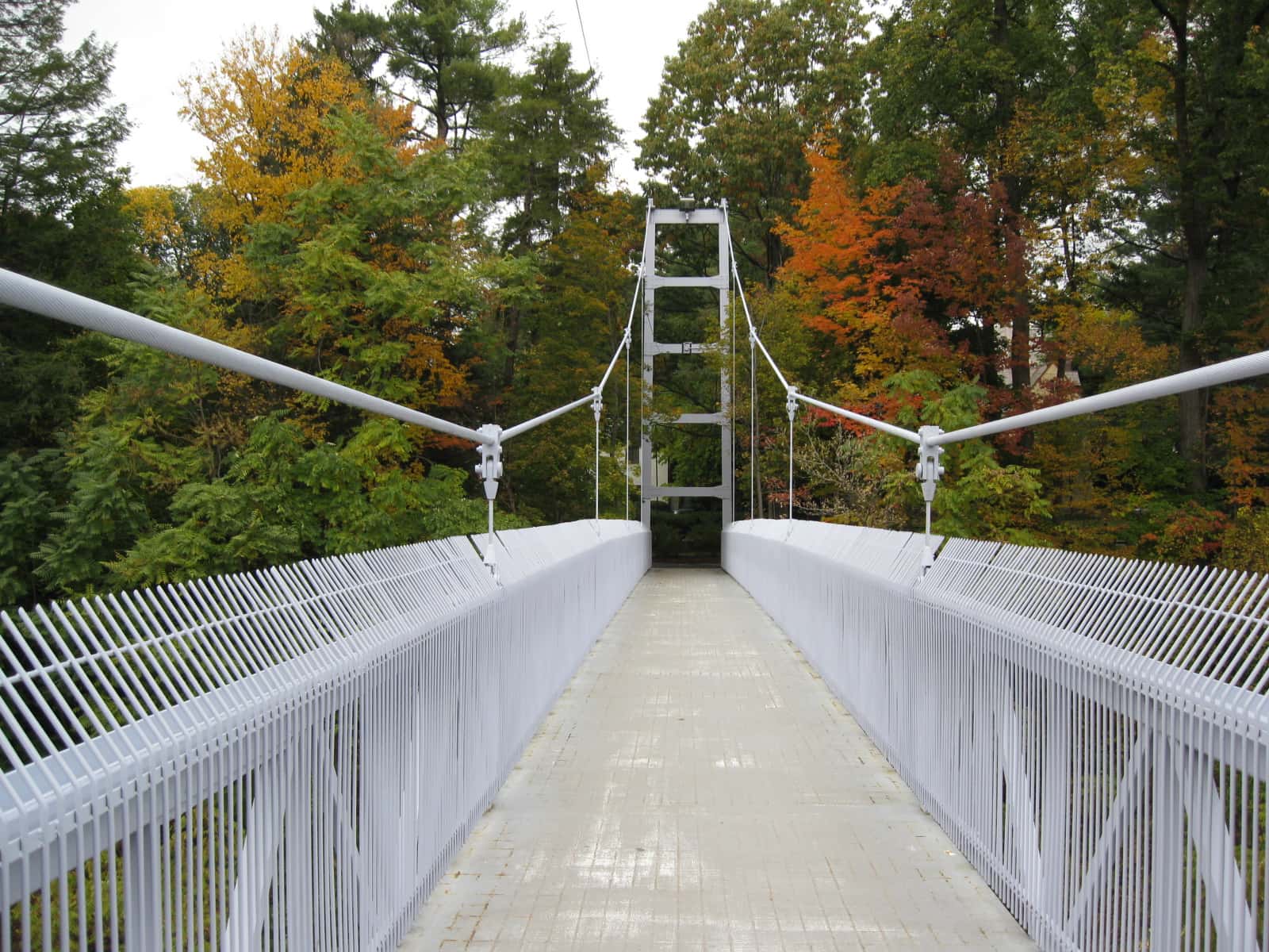 Creepiest Experiences Facts