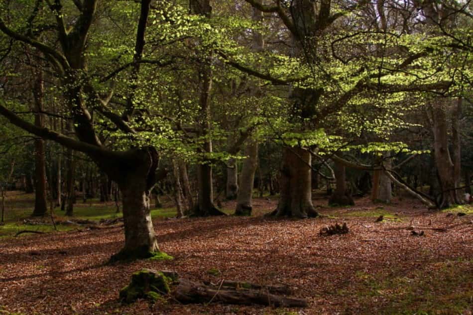 Most Cringey Slip-Ups Facts