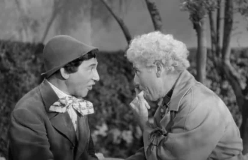 Chico Marx facts