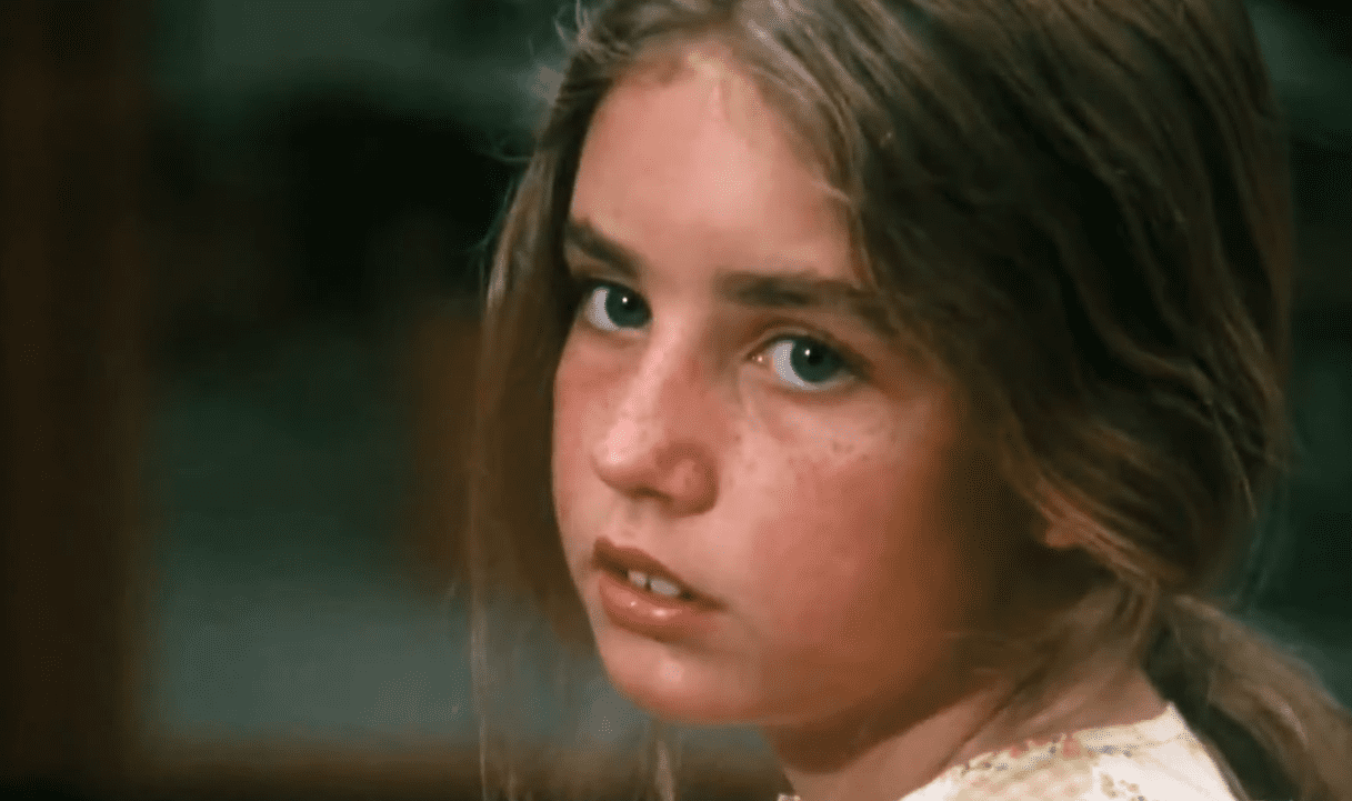 Dana Plato Facts