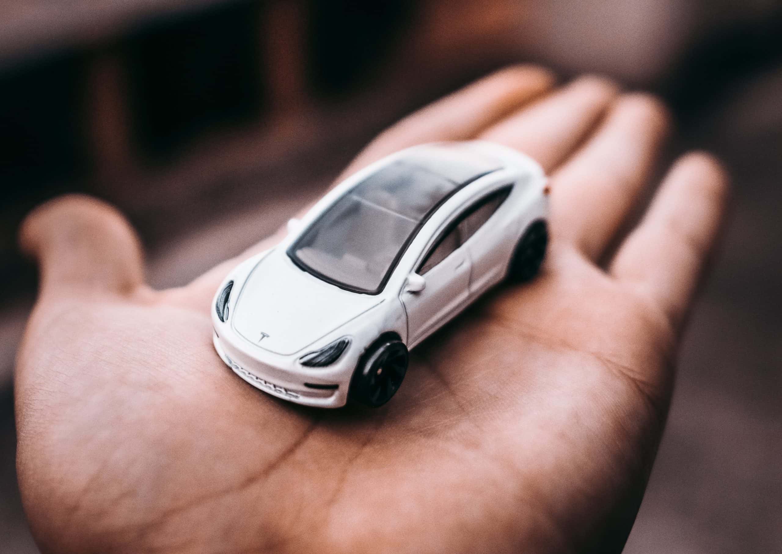 Bogus Punishments Facts