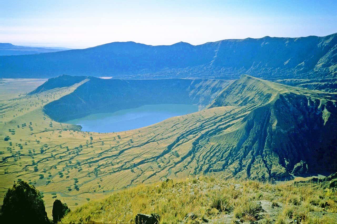 Scariest True Stories Facts