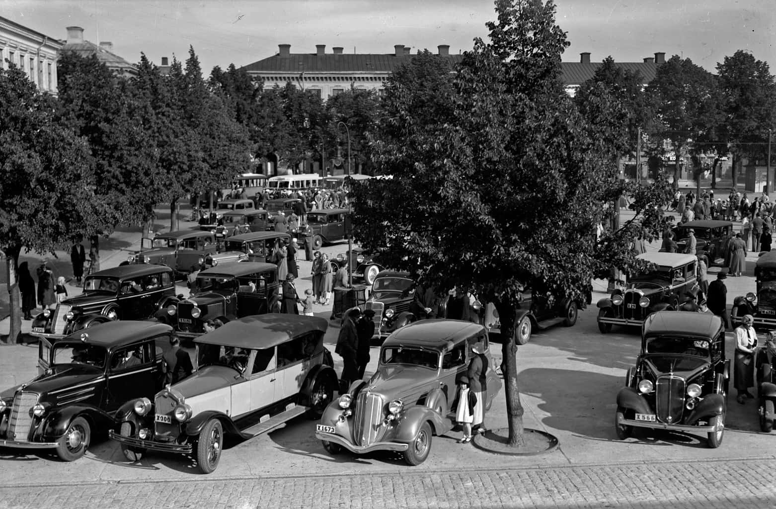 Princess Natasha Paley facts