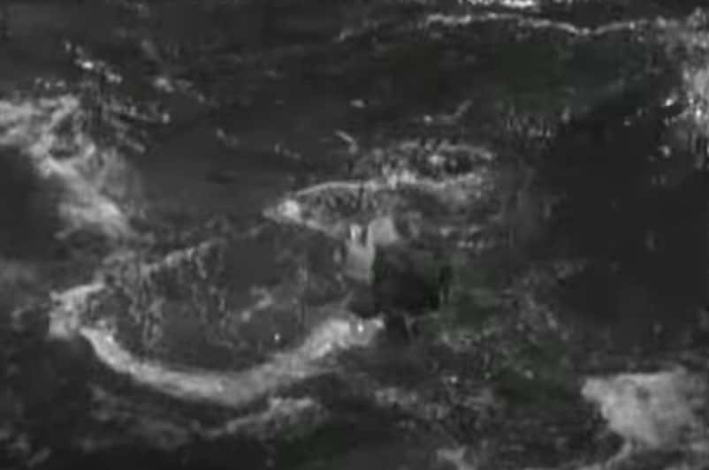 Princess Natasha Paley facts