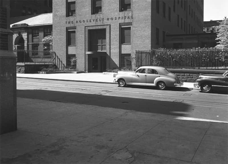 Princess Natasha Paley facts