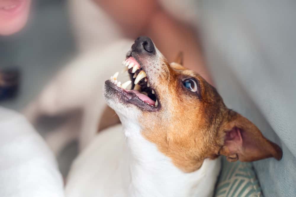 Scariest True Stories Facts