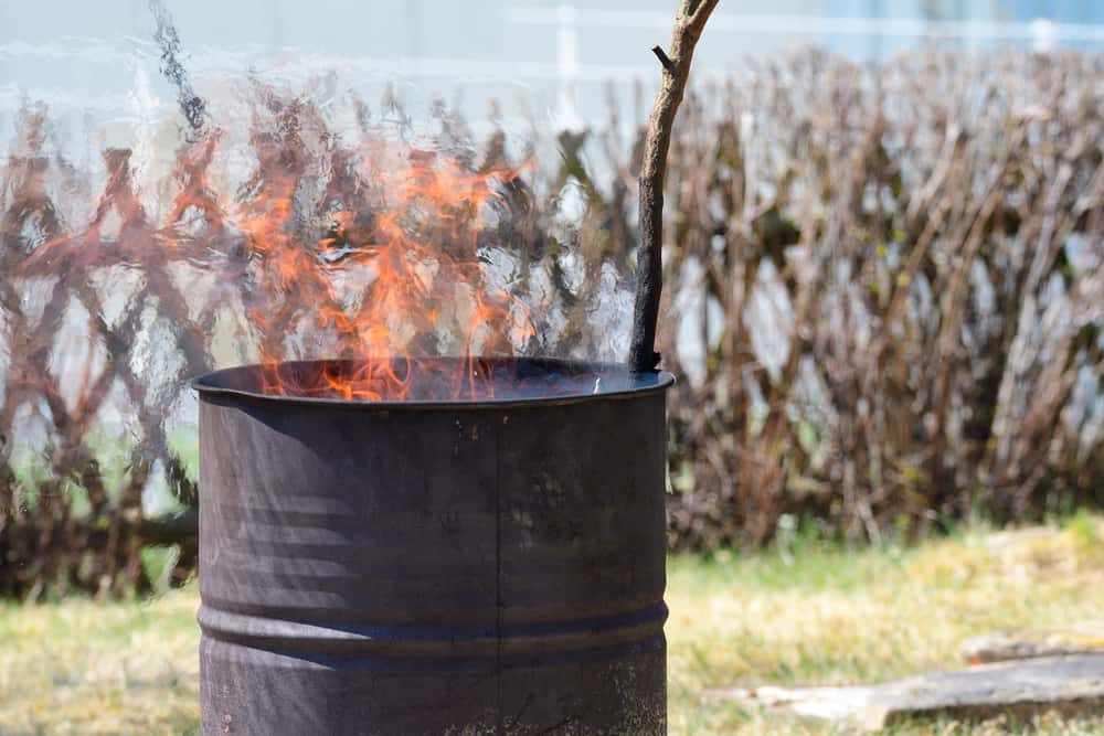 Biggest Regrets Facts