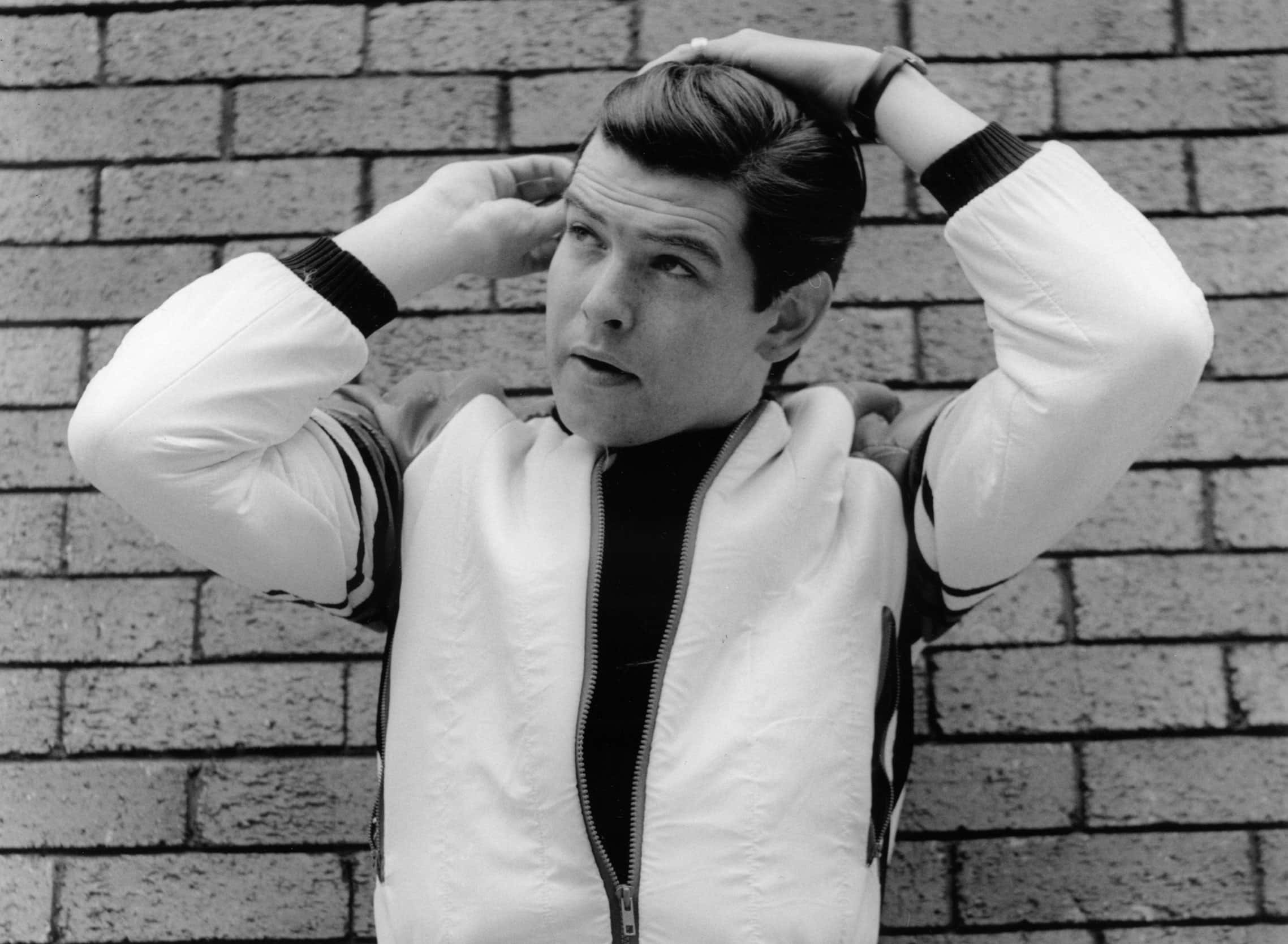 Pierce Brosnan facts 