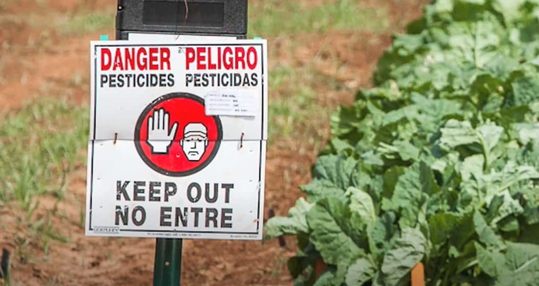 Pierce Brosnan facts