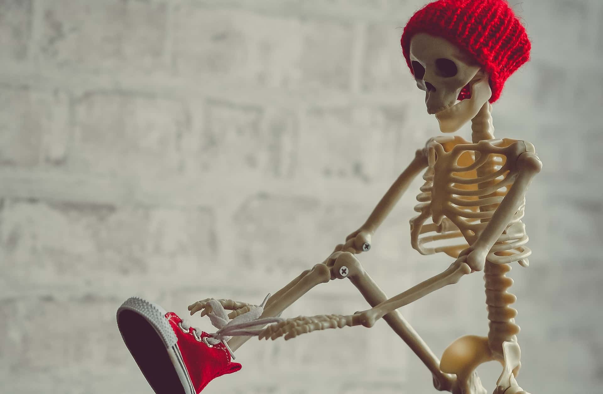 Strangest friend's house