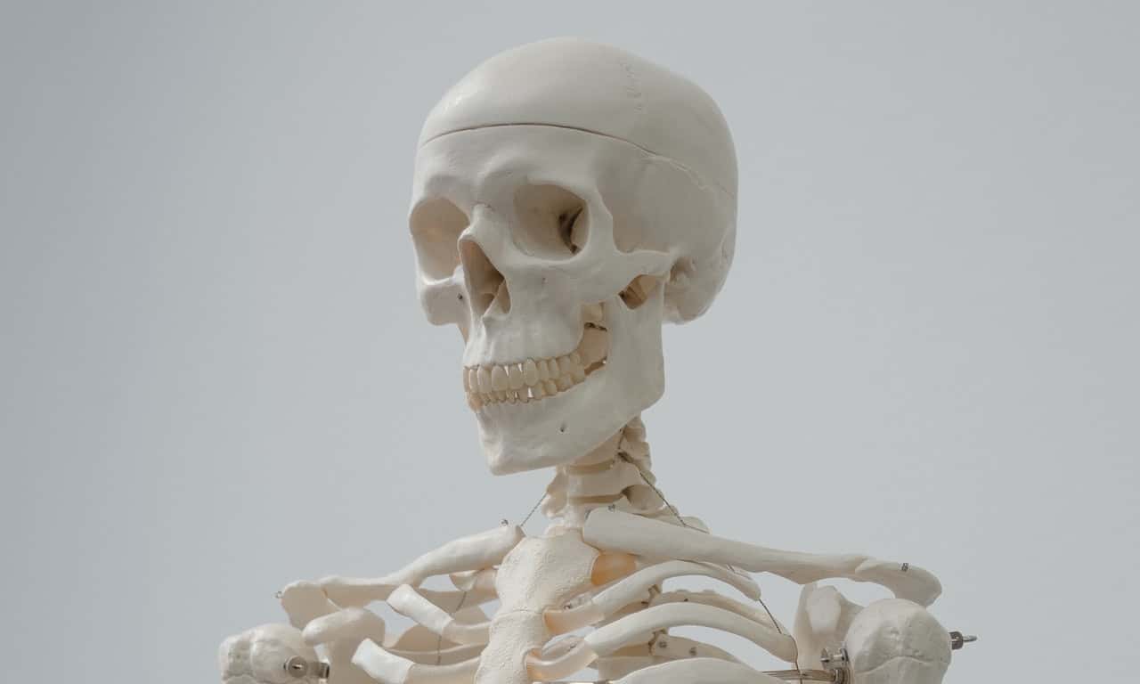 Strangest friend's house