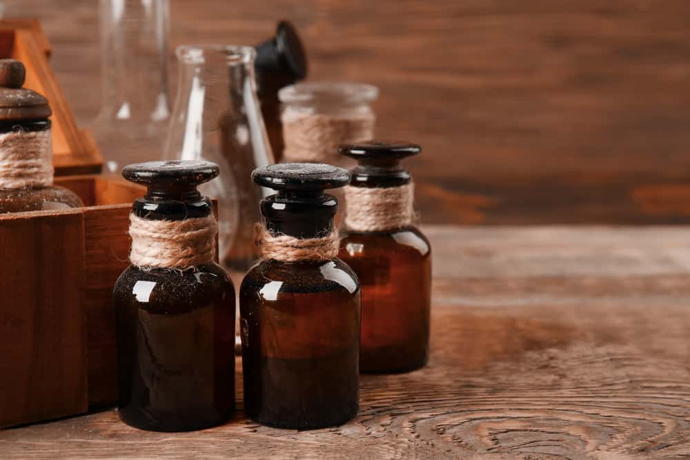 Duchess Of Berry Facts