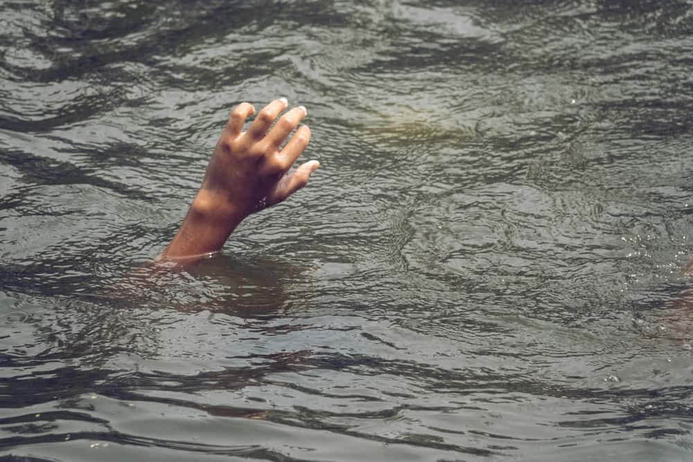 Near-Death Experience Facts