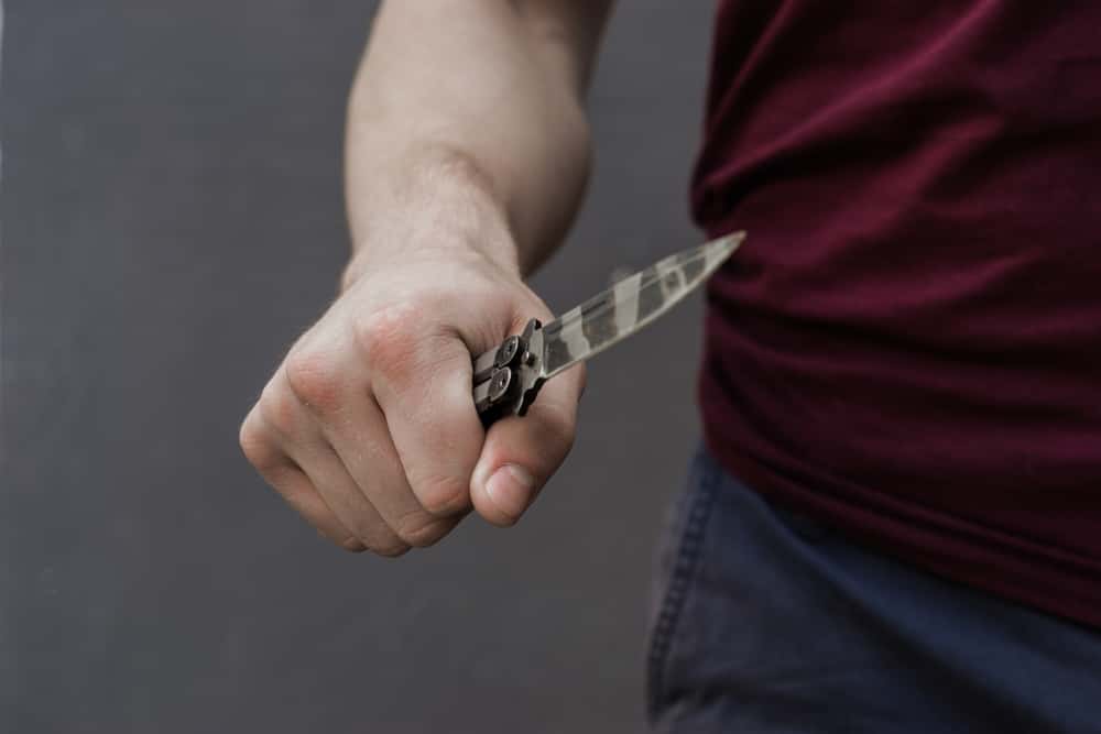 Not What It Looks Like Facts