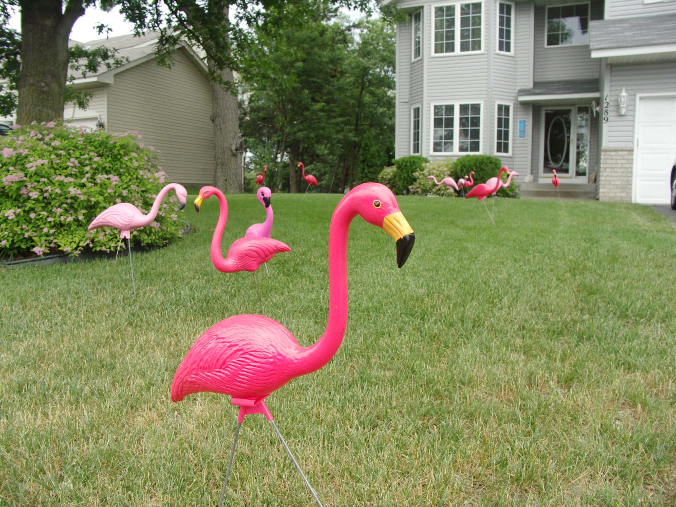 Nightmare Neighbors Facts