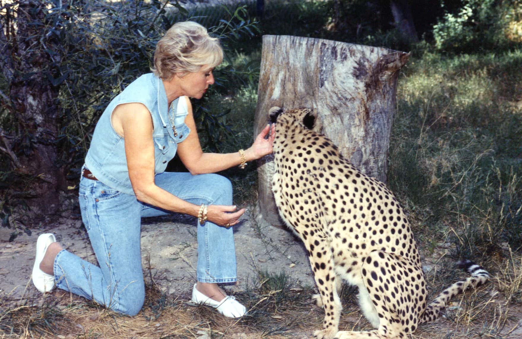 Portrait Photo of Tippi Hedren with cheetah at Shambhala Preserve
