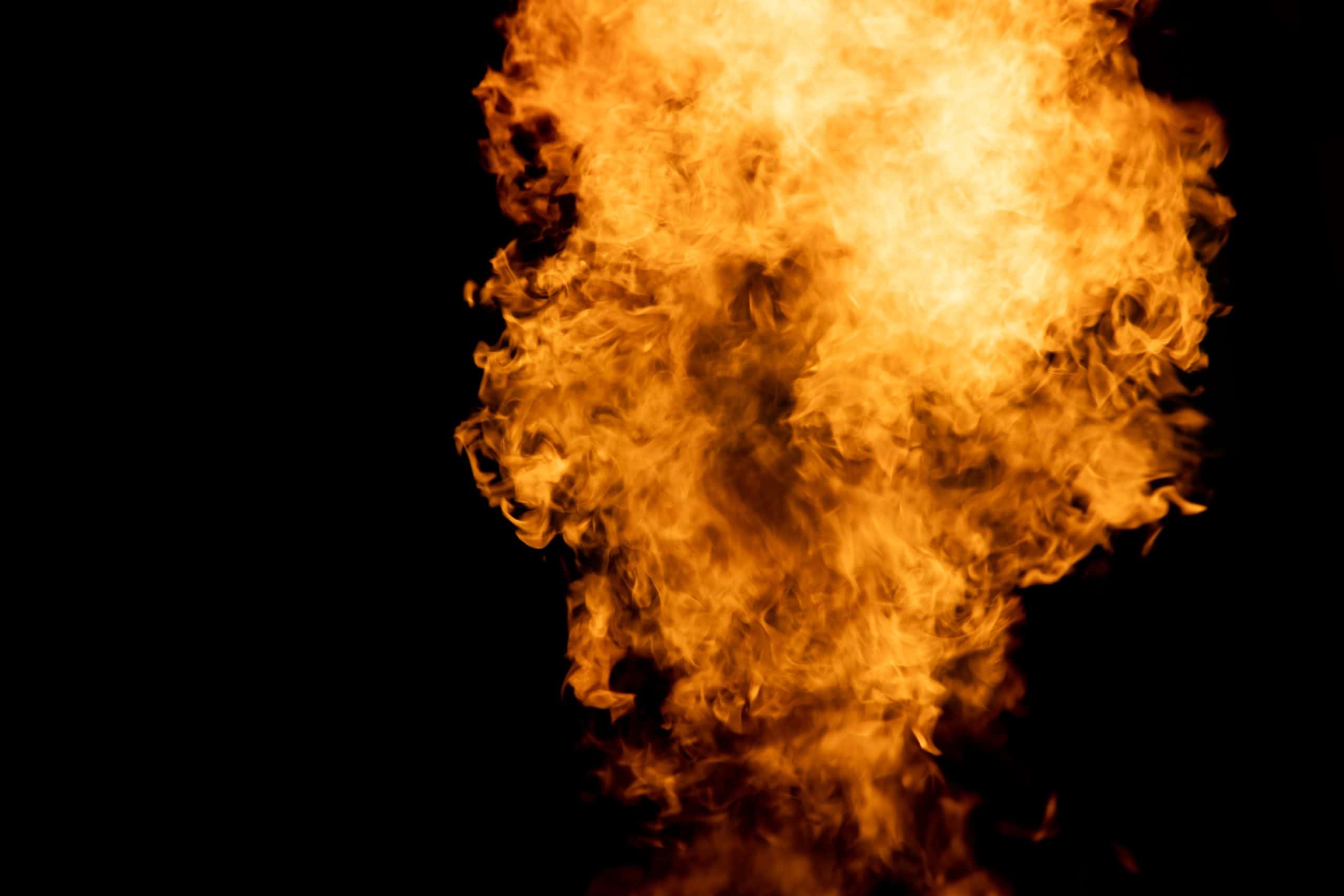 Nightmare Neighbors Facts