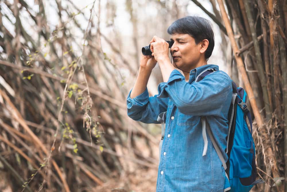 Dads Train Wrecks facts