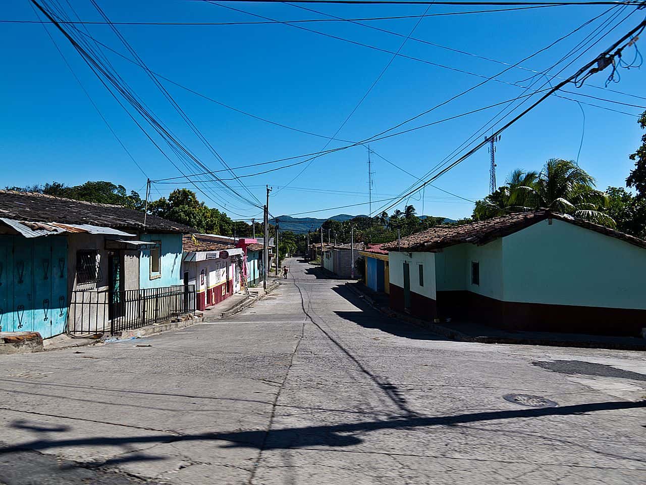 Vacations Turned Nightmares facts