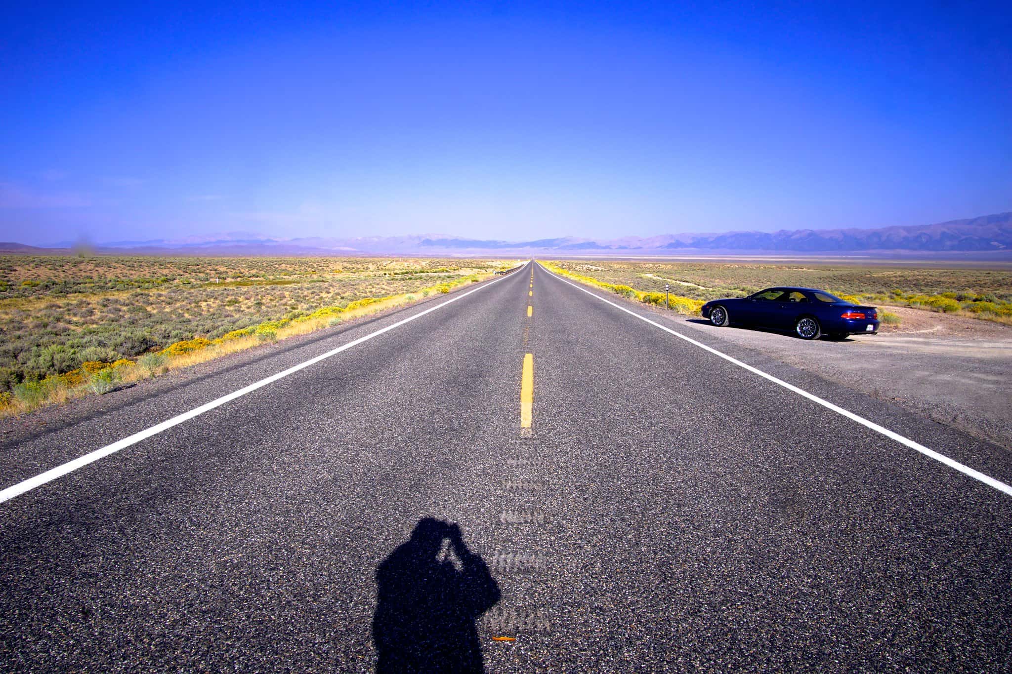 Vacations Turned Nightmares facts