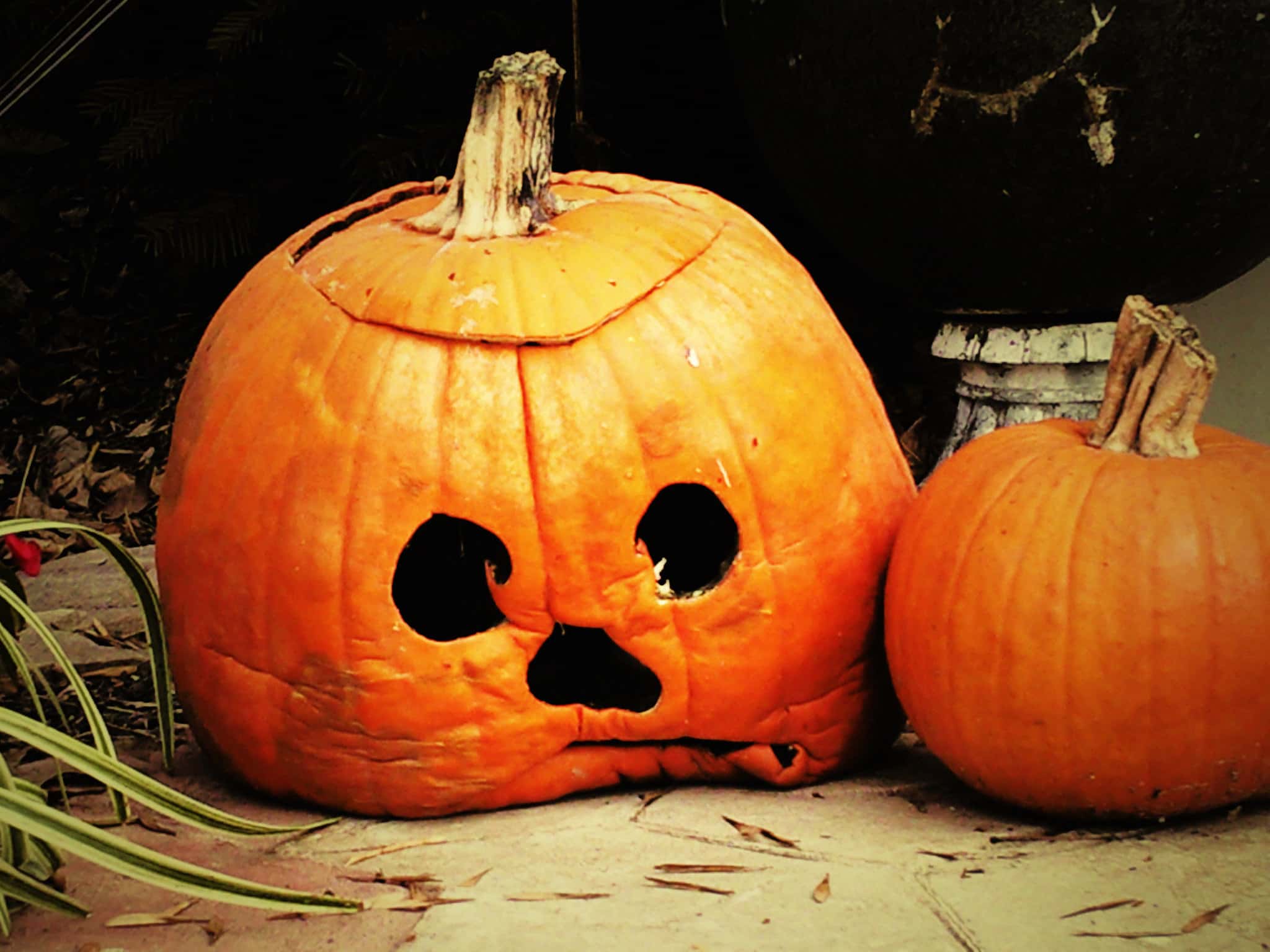 Halloween Stories Facts