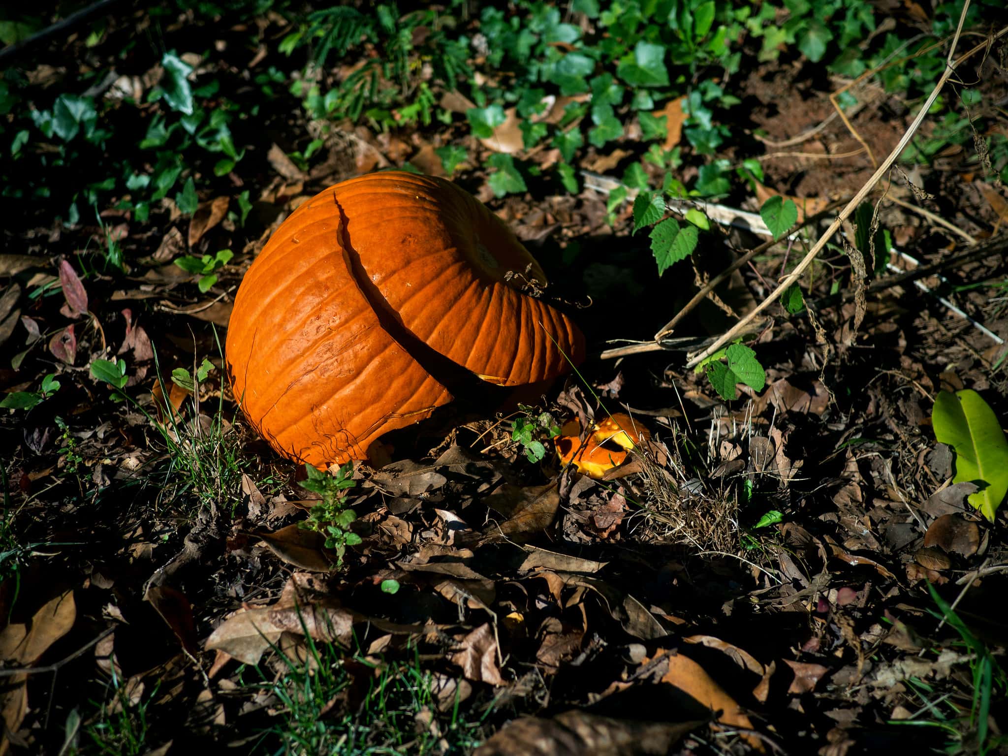 Halloween Stories Facts