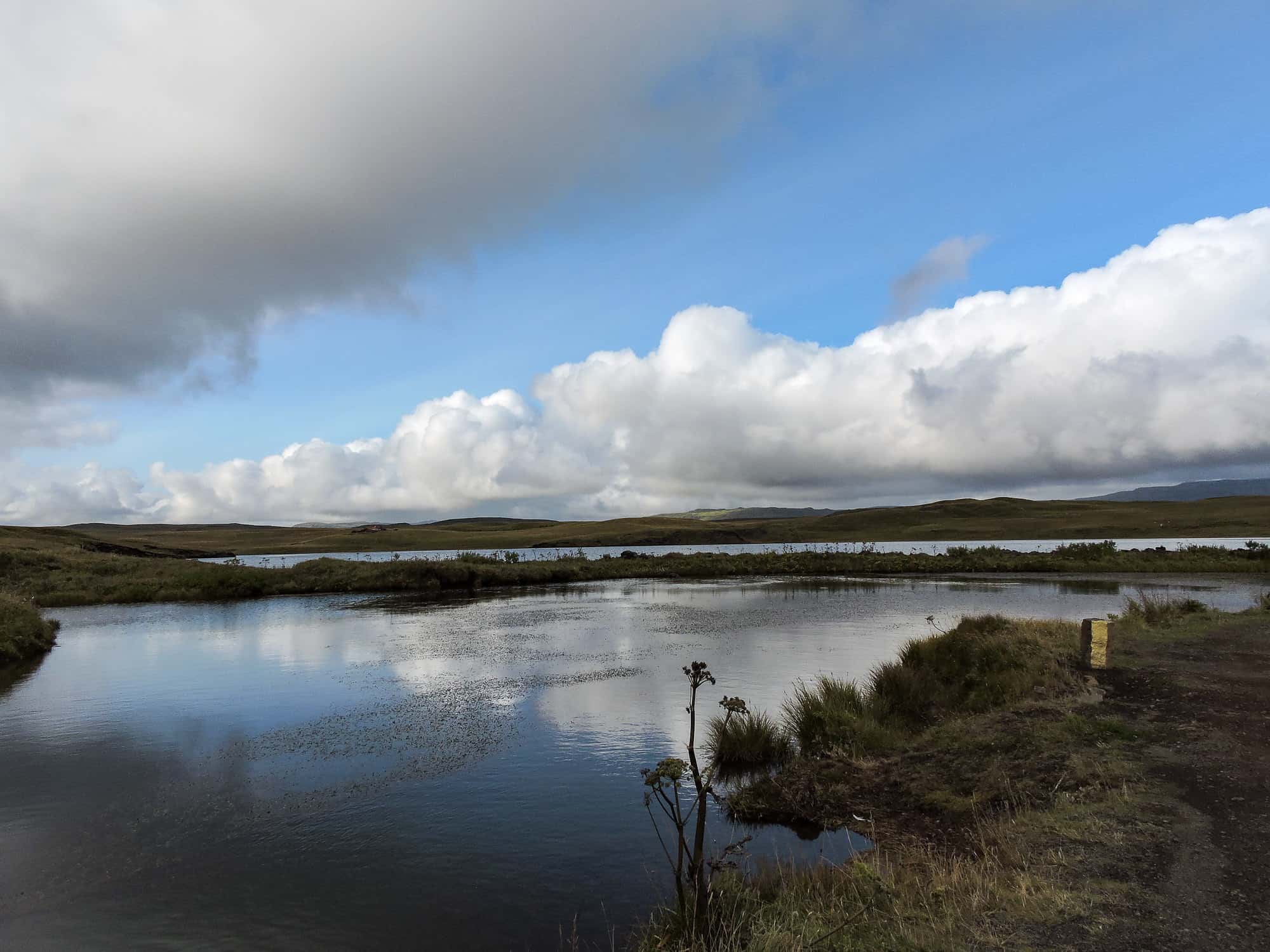 Vacations Turned Nightmares facts