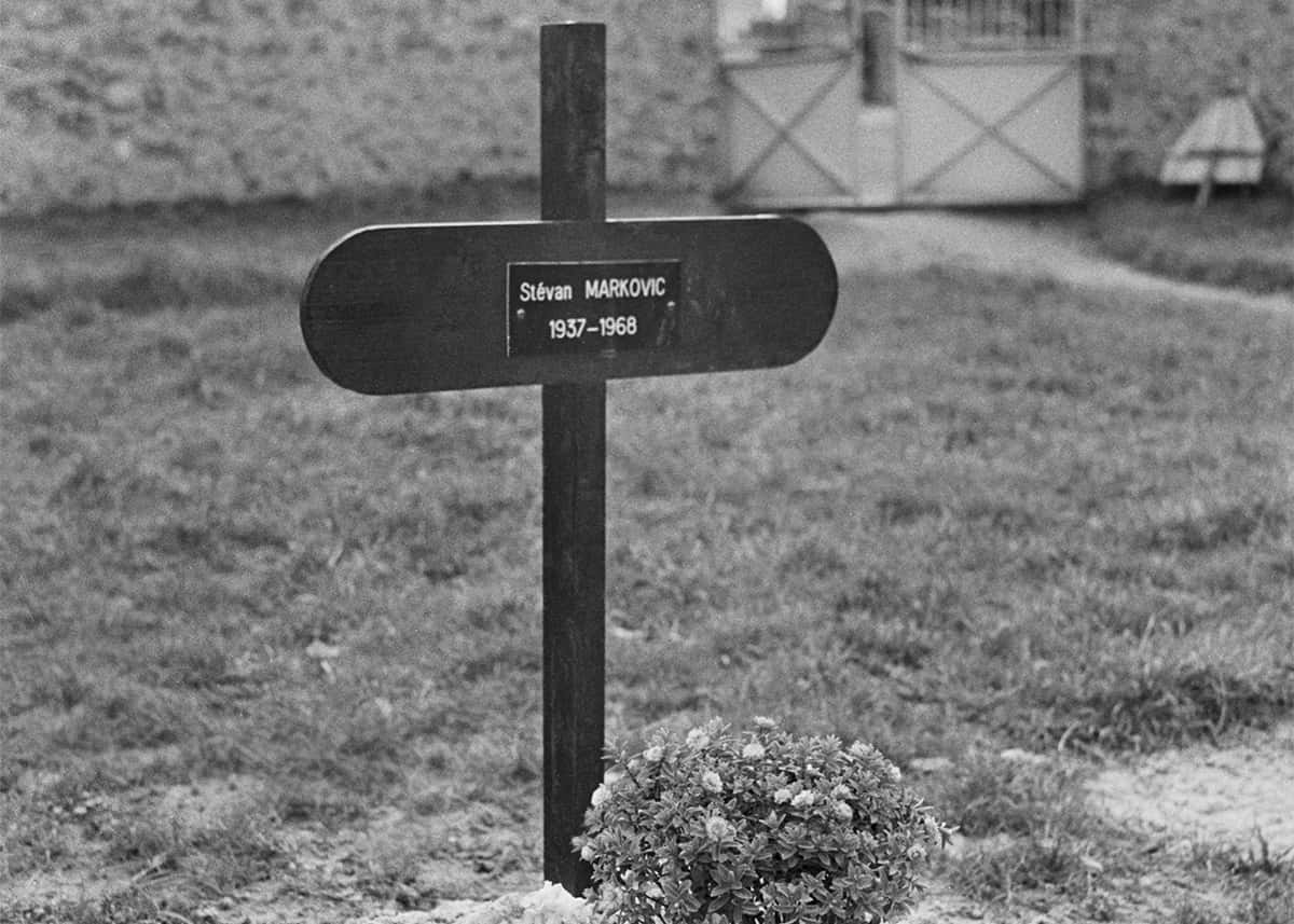 The Markovic Affair Editorial