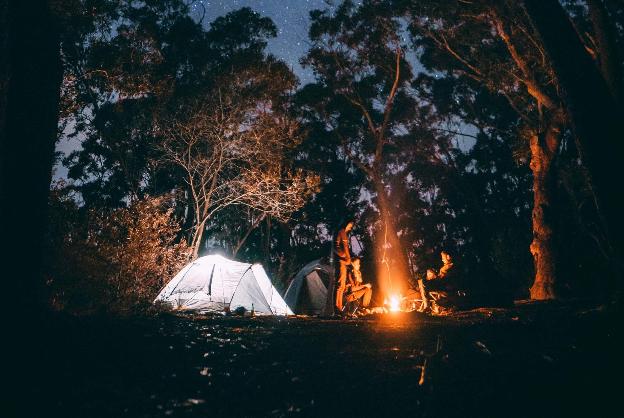 Bachelor Parties Gone Wrong Facts