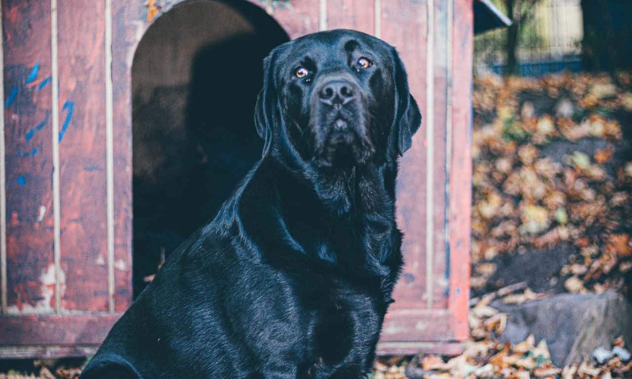 Weird stuff at friend's