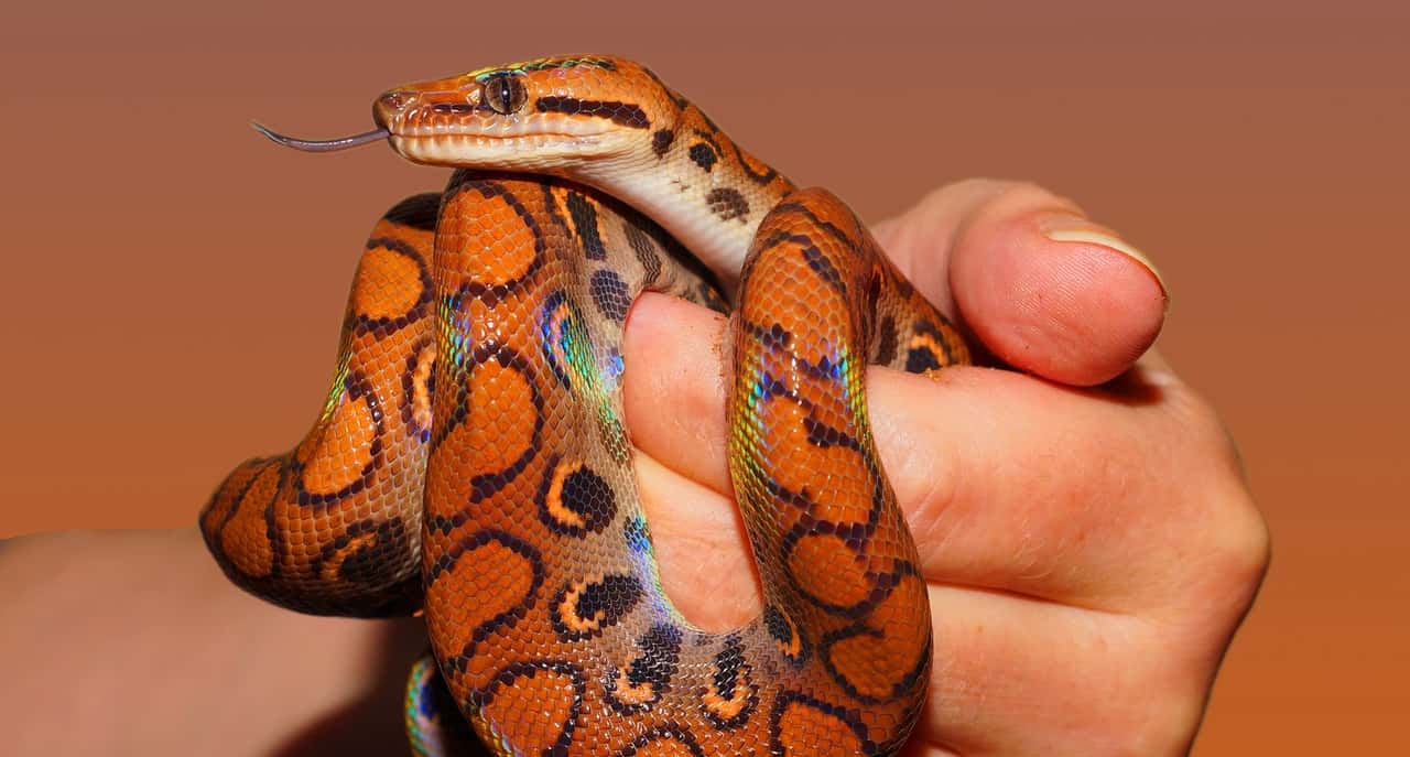 Weird stuff at friend's