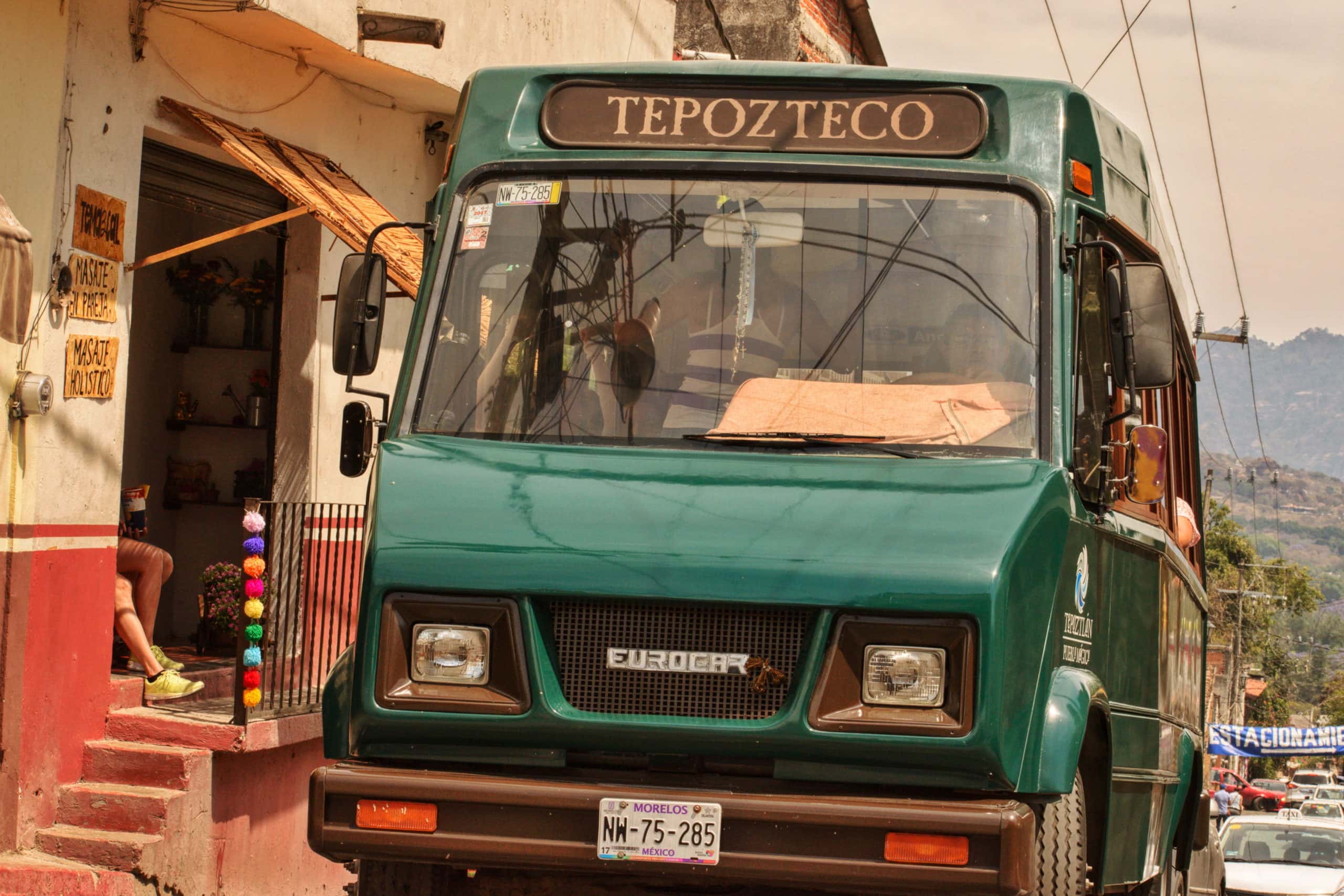 Vacations Turned Nightmares facts