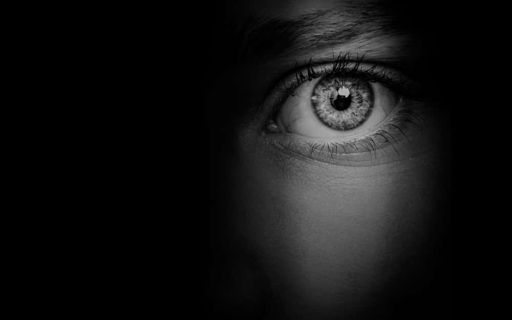 Vacations Turned Nightmares facts