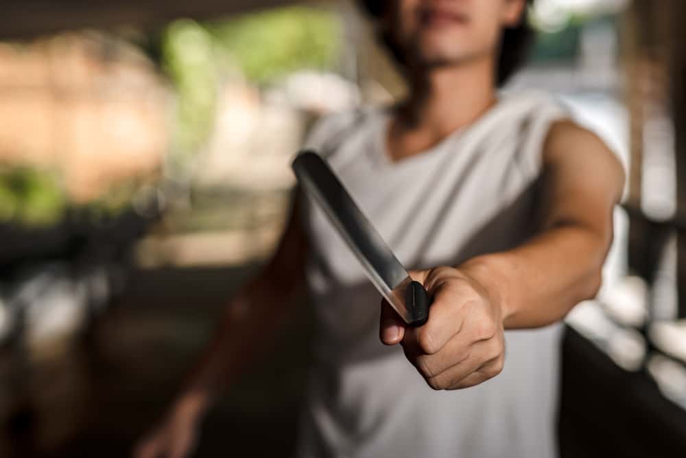 Vacations Turned Nightmares facts